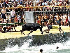 Denia bulls festival