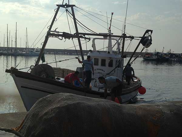 Javea fishing boat retuirns to port 